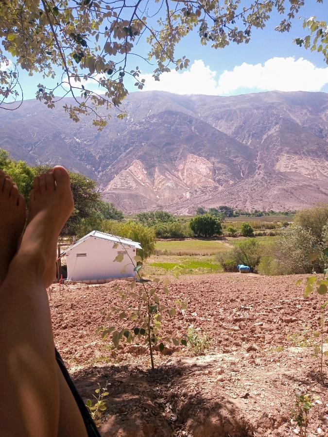 Dormir Con Llamas Maimará エクステリア 写真
